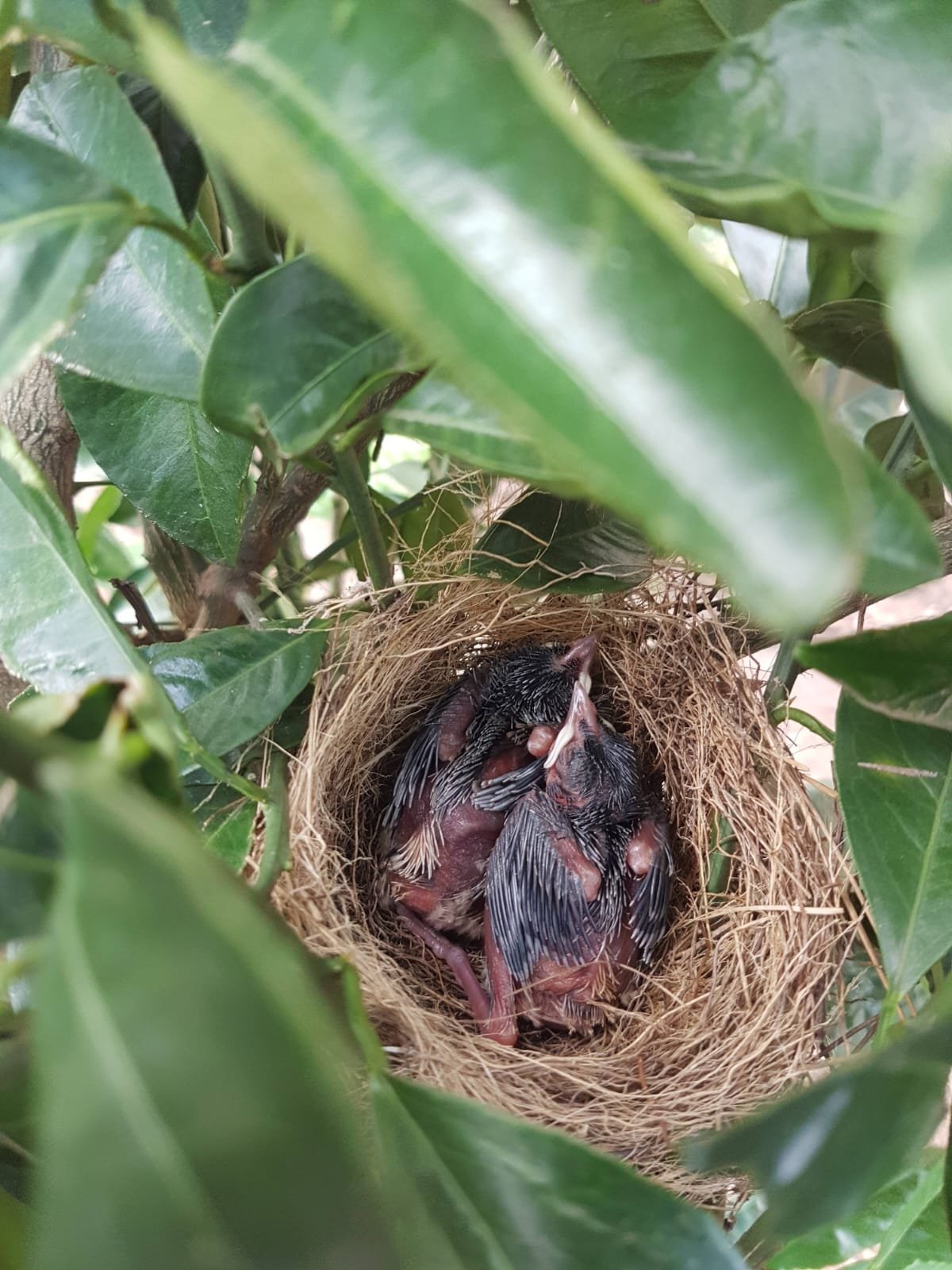 Wintry Mountain Landscape